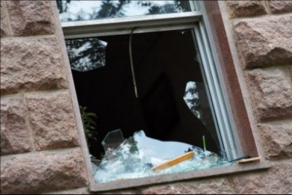 Cabinetul de medicină veterinară de lângă magazinul Billa a fost vandalizat